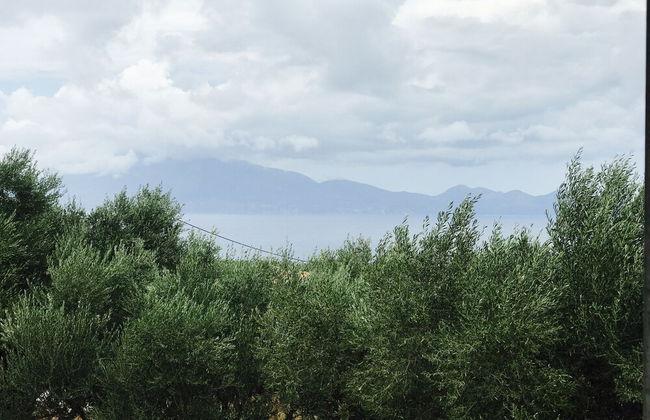 Villa Fioro - Photo 16