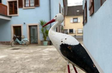 Charmant et chaleureux gîte dans le vignoble - Foto 13