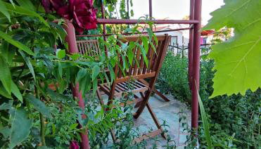 SUMMER TIME - Photo 3, Garden