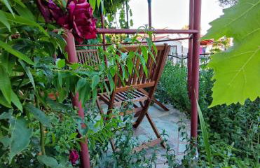 SUMMER TIME - Photo 3