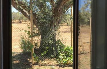 Agriturismo Casale San Benedetto - Foto 19