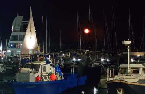 Apartamento Premium en Alcossebre - Foto 32