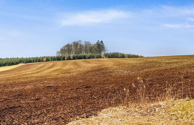 Cottage in Vaux-sur-sure With Garden - Foto 39