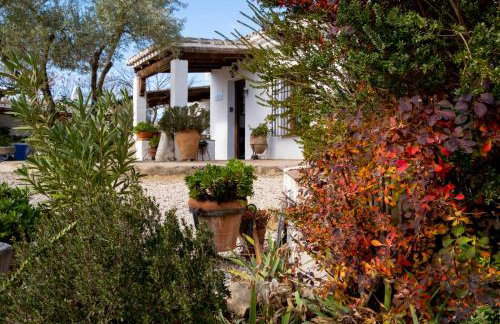 Casa de Campo La Mejorana Refugio entre olivos sin renunciar al confort - Foto 6