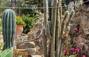 Gästehaus Casa Roca Fataga - Foto 32