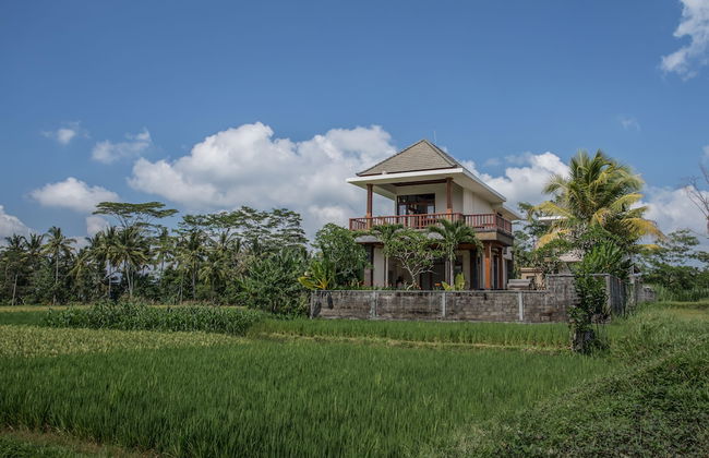 Alosta Luxury Private Villa - Foto 29