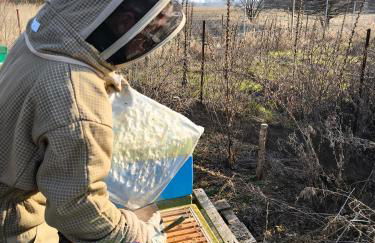 FEWO RENKEN - Foto 47