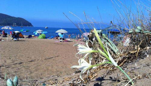 Farmhouse Gello by ToscanaTour - Foto 2, Shopping Area