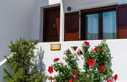 Maestralia - Photo 27