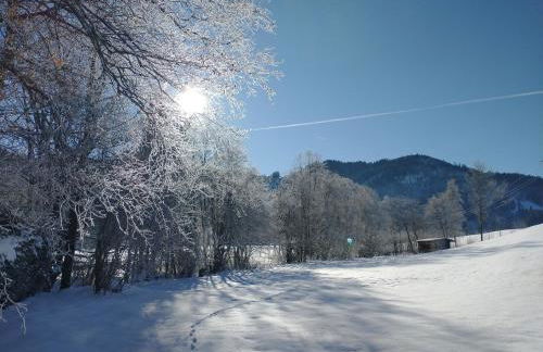 Fewo Wertachliebe - Photo 32