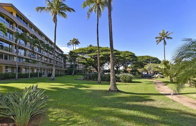 Maui Kaanapali S #b143 0 Bedroom Condo by RedAwning - Foto 18