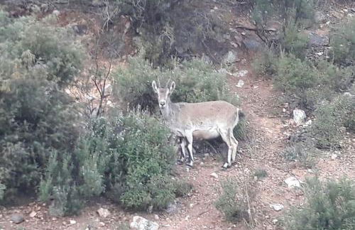 A 11 km de Riopar Casa Acogedora con sabor antaño - Foto 68