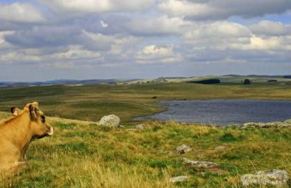 Gîte au calme pleine nature près d'un ruisseau - Foto 41