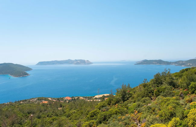 Golden Rose Suit Pension - Foto 15