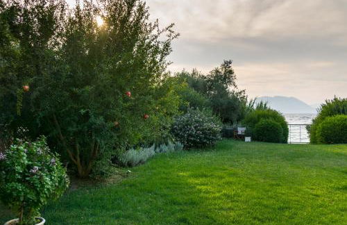 DH Epavlis - Photo 27