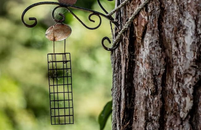 Benhams Country Cottage - From 250 Per Night - Foto 7