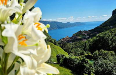 Residence Casa Silvana - Foto 9