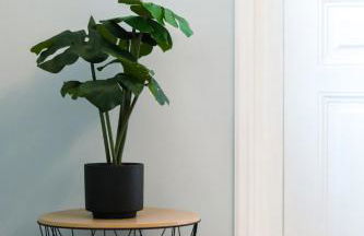 Elymnion Horizon - Photo 23