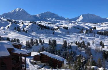Appartement à Belle Plagne au pied des pistes - Foto 9