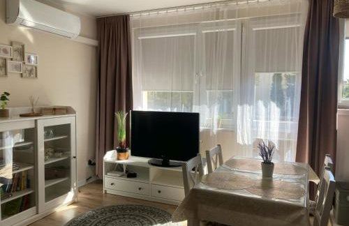 Apartament Mickiewicza - Foto 10