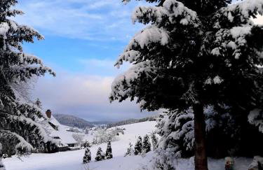 Haus Zum Sternen - Photo 45