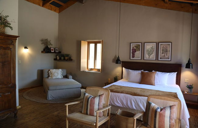 Alma Liebre Viñedos del Valle - Foto 13