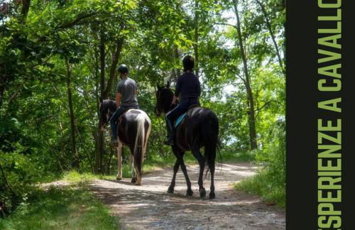 Casale Viozzi - Casa Vacanze con piscina nelle Marche - Foto 78