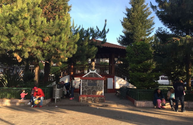 Bellavista Cabanas - Foto 30