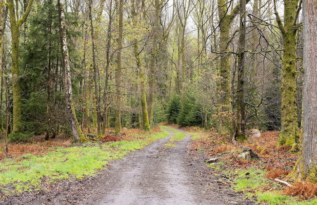 Holiday Home in Lierneux With Private Garden - Photo 39