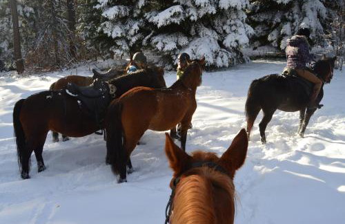 Ropuszy Dwór - Foto 20