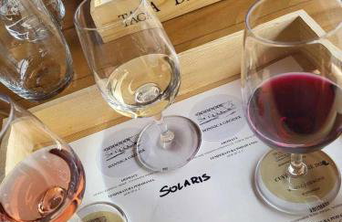 Dream Catcher House - dom do wynajęcia w górach - Foto 34