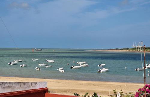 DULCE CARMEN - Photo 42