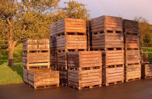 La Bergeronnette - Domaine d'APREVAL - Campagne - Photo 24