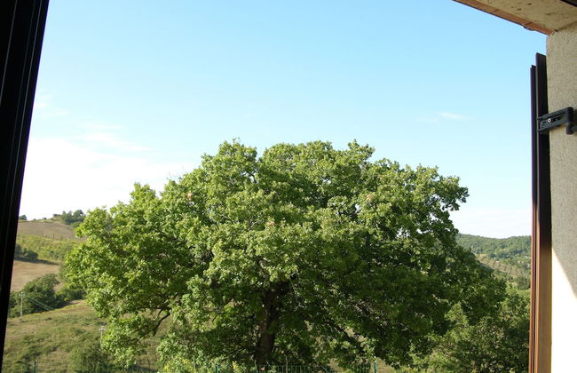 Country House La Meria - Foto 11