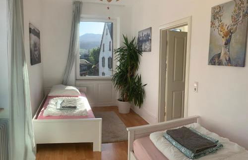 Citynahes Apartment für die ganze Familie oder Gruppen in ruhiger Lage - Foto 3