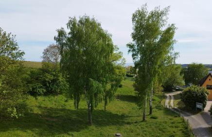 Traumblick und Komfort - lichtdurchflutete 85 qm Wohnung nahe Südstrand Göhren inklusive Schwimmbad und Sauna im AHOI Sellin - Foto 10