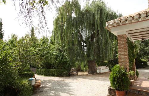 El Molino de Batán - Photo 11