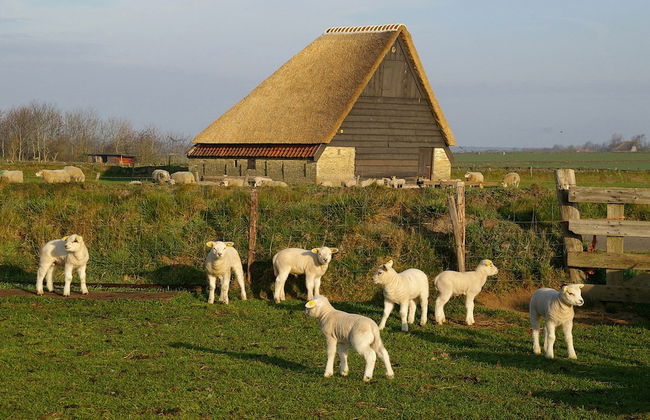 Luxury Villa in Texel - Photo 25