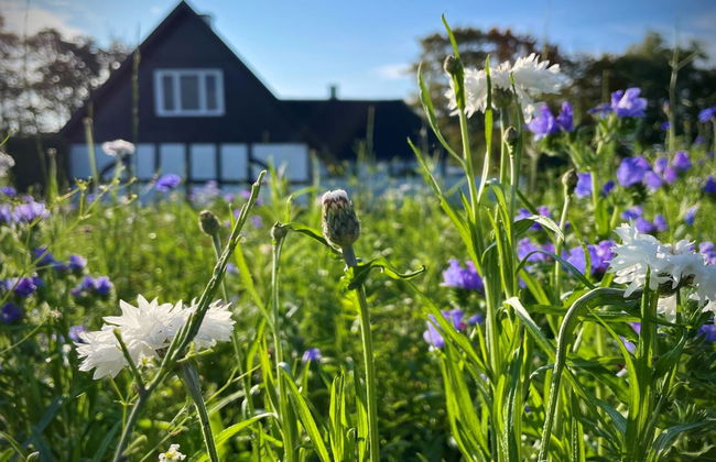 "Ilkka" - 220m from the sea - Foto 9