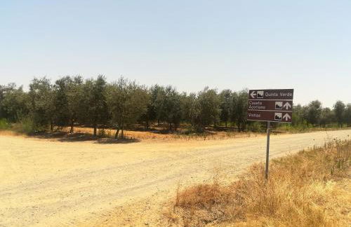 Monte Quinta Verde - Foto 40