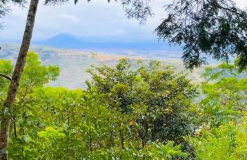 Flat 407 - Topo da Montanha - Foto 13