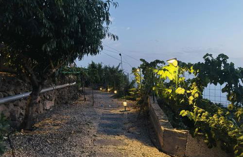 Balcones de Erques - Foto 20