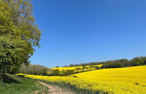 Quirky Barn Conversion Crowhurst Battle - Foto 30