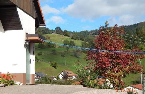 Haus Wiesental - Foto 39