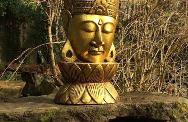 Mellow Mountain Eco Retreat Wales Hot-Tub Sauna - Foto 20