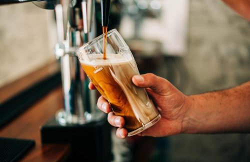 Bryn Berwyn Country House Tresaith - Foto 55