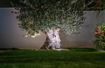 Villa DEA - Luxus Ferienhaus in Kroatien mit beheizten Pool Vrsi-Mulo bei Zadar - Foto 47