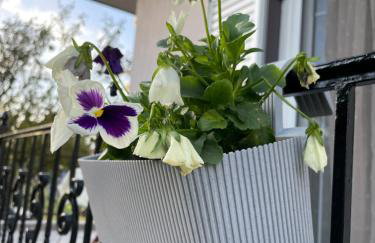 Sofias Cottage Trikala - Photo 57