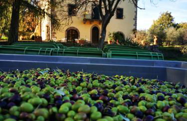 San Processo Agriturismo - Foto 55