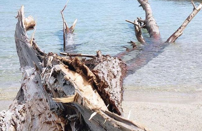 Elizabeth Hotel - Photo 28